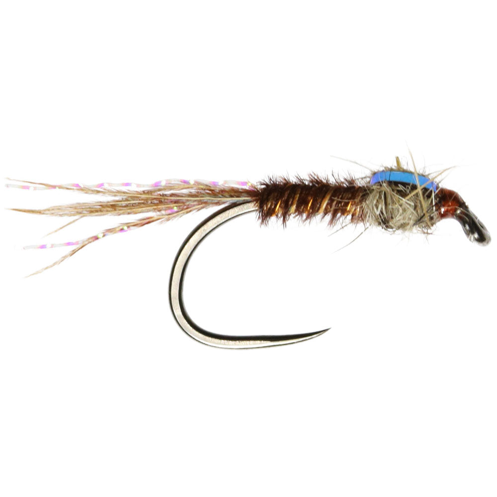 Cove Pheasant Tail Nymph