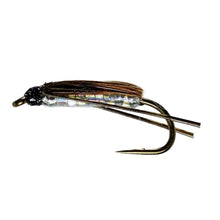 Load image into Gallery viewer, SIlver Corixa (Water Boatman)
