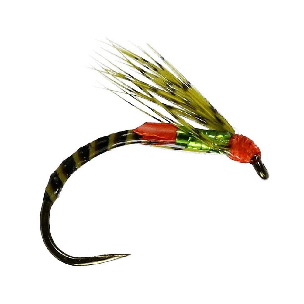 Olive Emerging Adult Buzzer