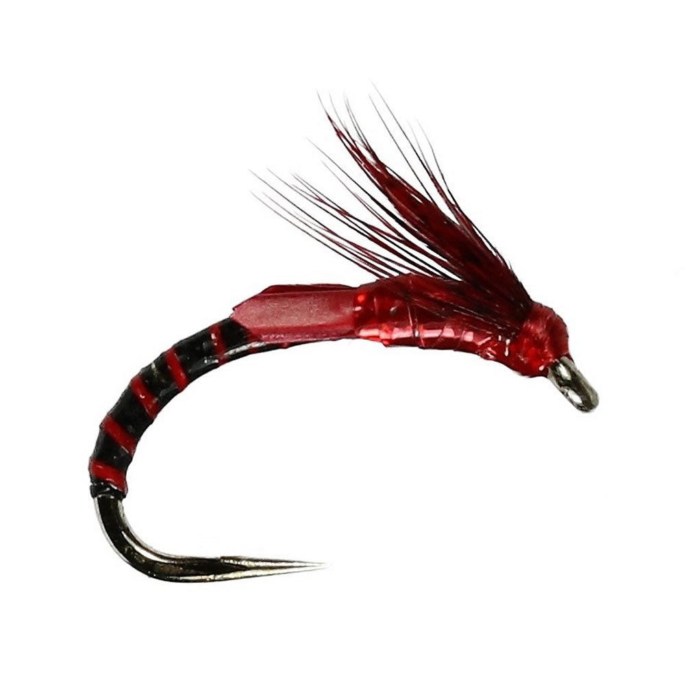 Claret Emerging Adult Buzzer