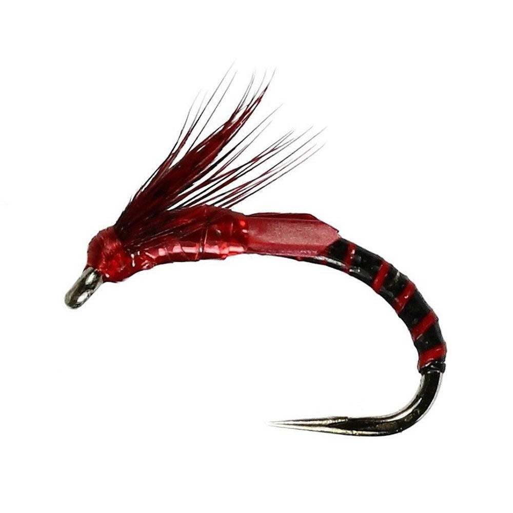 Claret Emerging Adult Buzzer