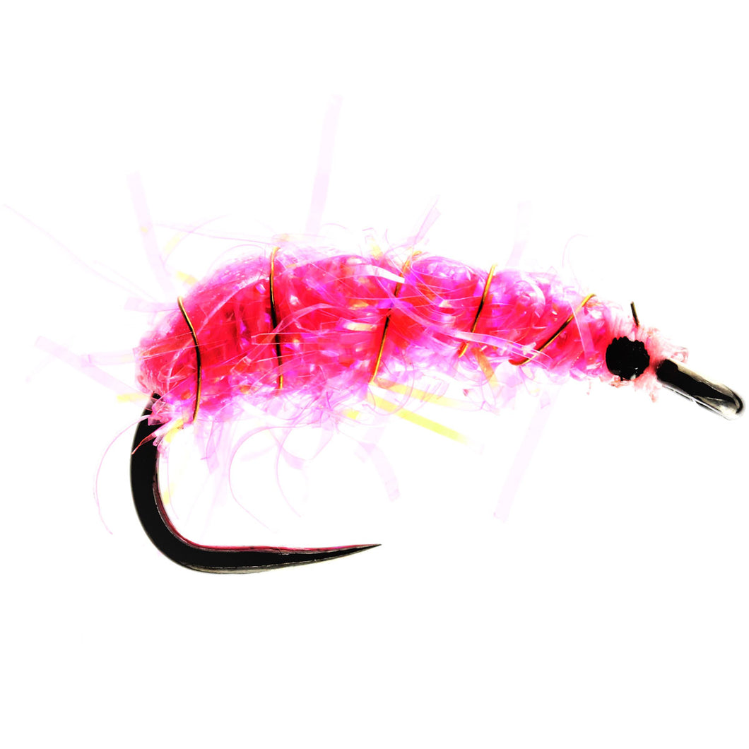 Pink Shrimper