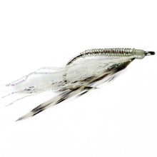 Load image into Gallery viewer, Crystal Pearl Shrimp (Saltwater)
