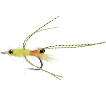 Load image into Gallery viewer, Cuban Yellow Shrimp (Saltwater)
