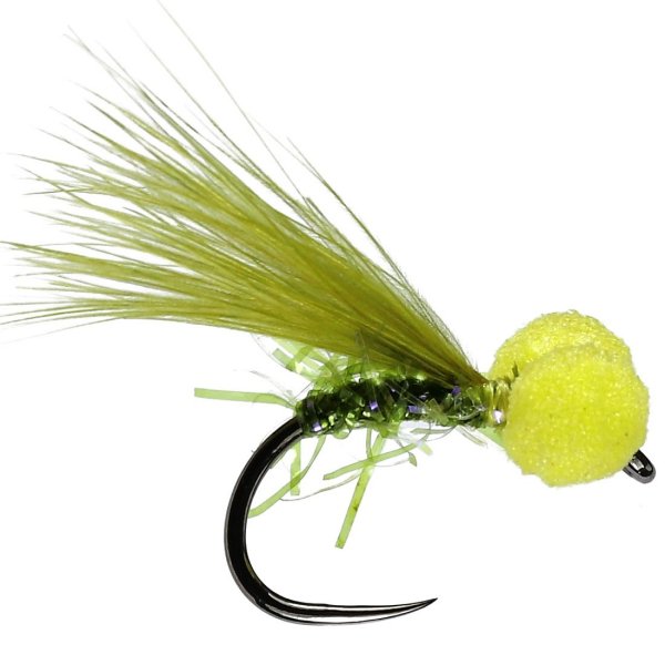 Olive UV Booby