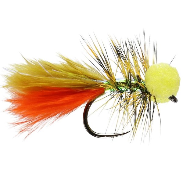 Dawsons Olive Booby