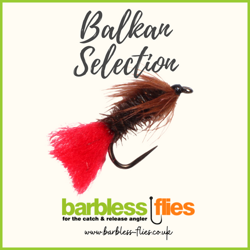Flies selection hotfly TROUT ESSENTIAL BL - 12 barbless flies with bo