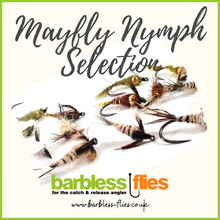 Load image into Gallery viewer, Mayfly Nymph Selection
