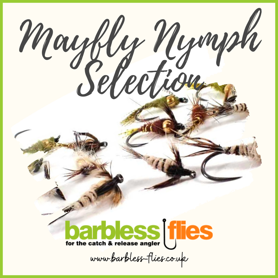 Mayfly Nymph Selection