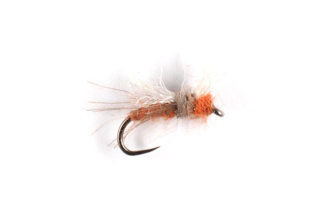 Agapetus