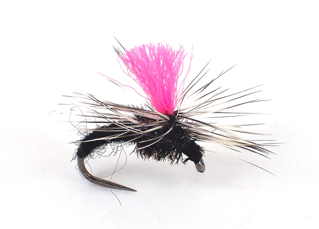 'Easy To See' Selection