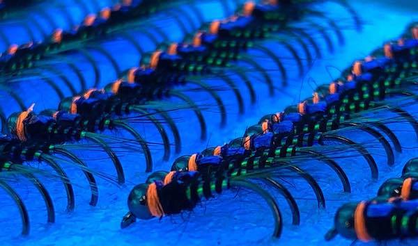 Bosnian Pheasant Tail Joker Selection