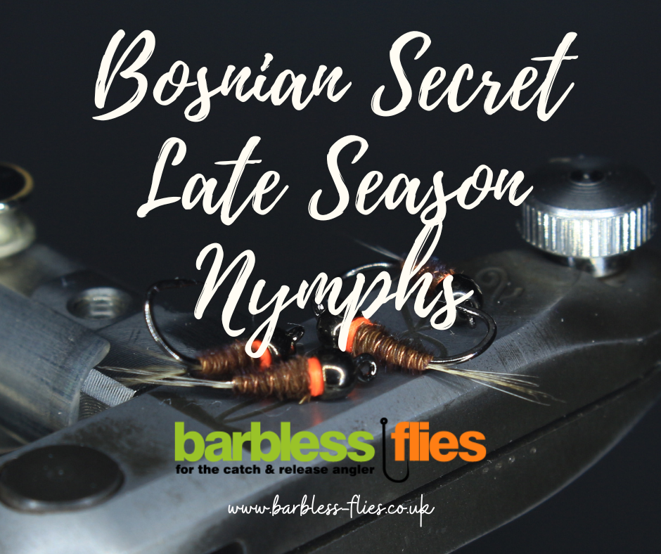 Bosnian Secret Late Season Nymphs