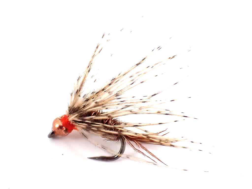 Endrick Spider