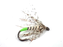 Load image into Gallery viewer, Ermine Moth
