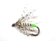 Load image into Gallery viewer, Ermine Moth

