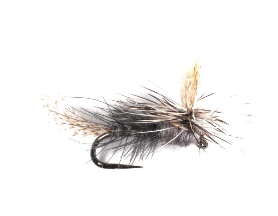 Clint 'A fly with no name'