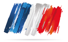 Load image into Gallery viewer, French Cane Rods (Reconditioned)
