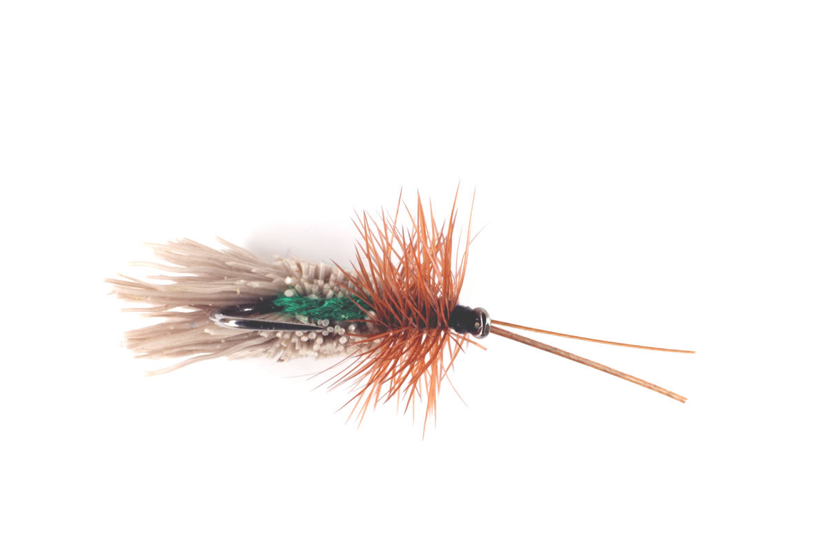 Goddard's Sedge - Green
