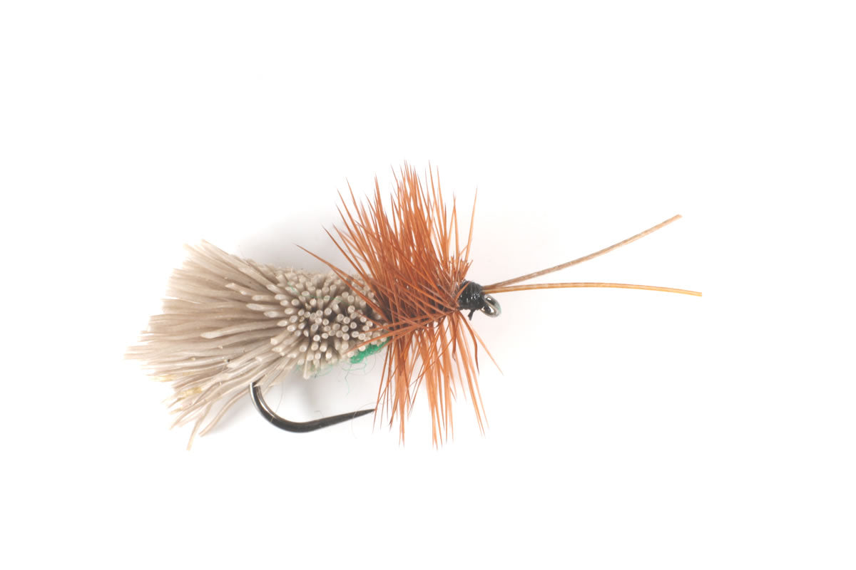 Goddard's Sedge - Green