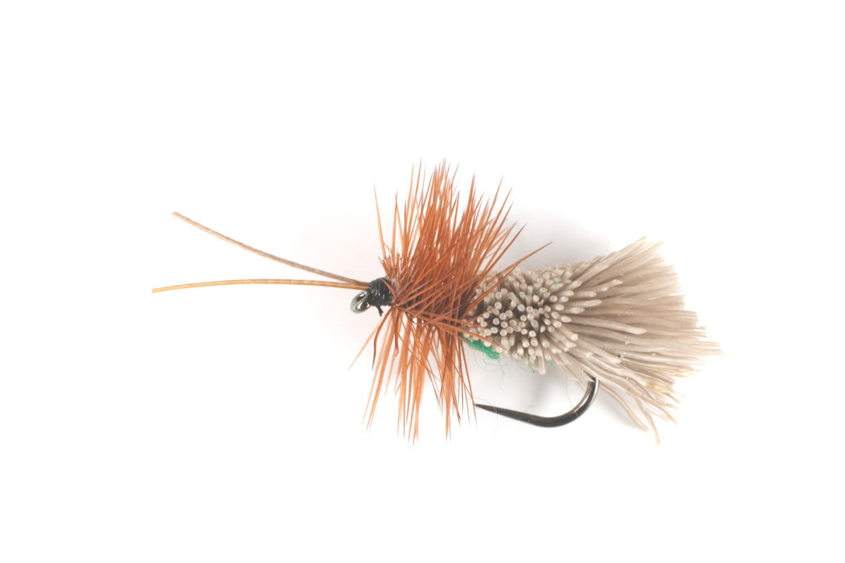 Goddard's Sedge - Green