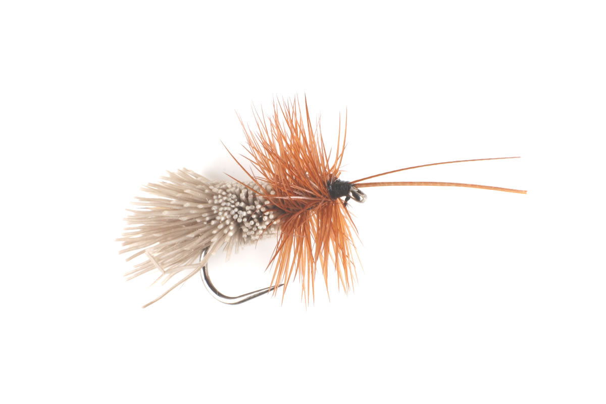 Goddard's Sedge - Natural