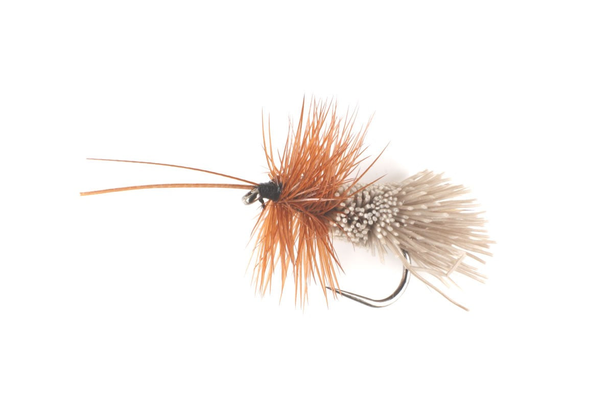 Goddard's Sedge - Natural