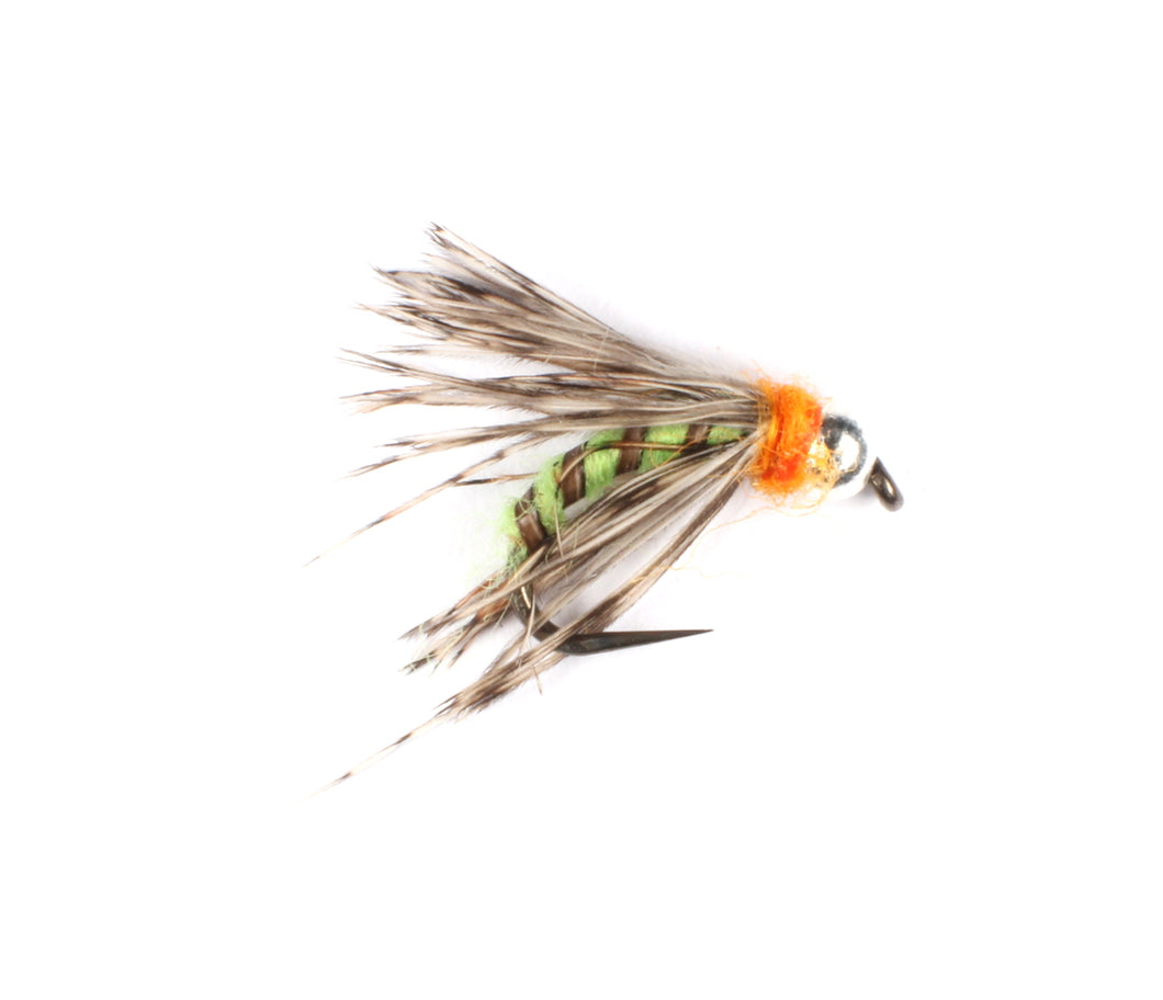 Grannom Pupa