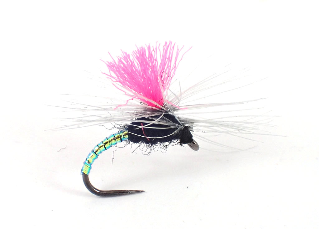 'Easy To See' Selection