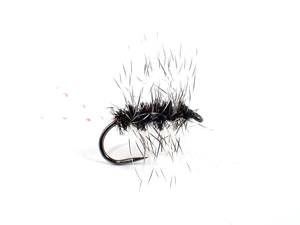 Griffith's Sparkle Gnat
