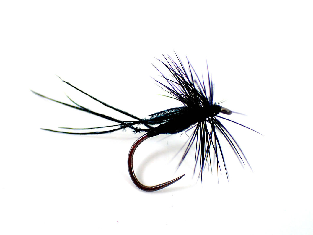 Hawthorn Fly