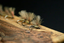 Load image into Gallery viewer, Bosnian Indicator Olives
