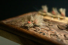 Load image into Gallery viewer, Bosnian Indicator Olives
