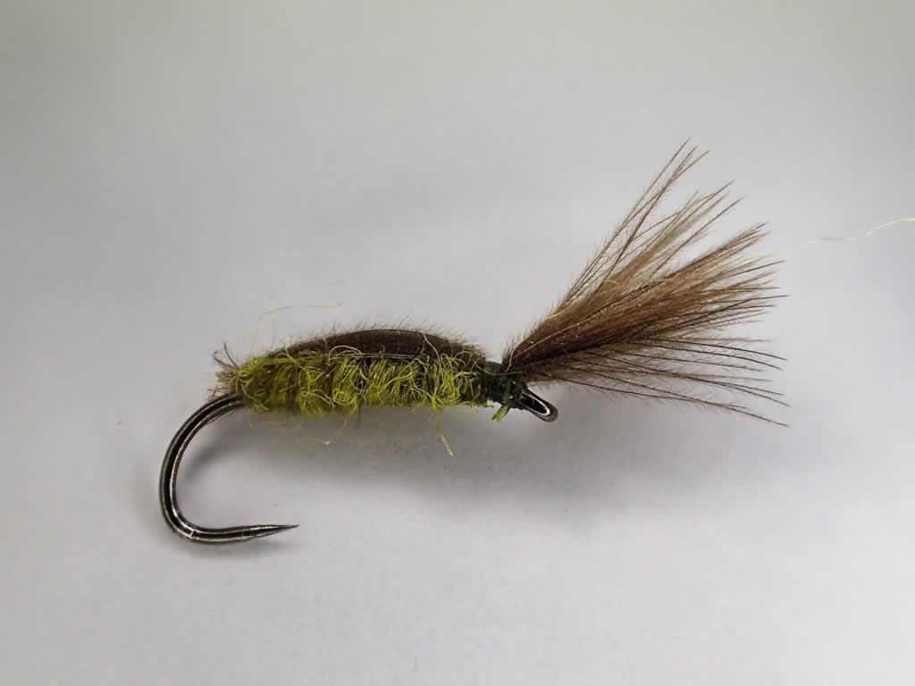 IOBO Humpy - Olive