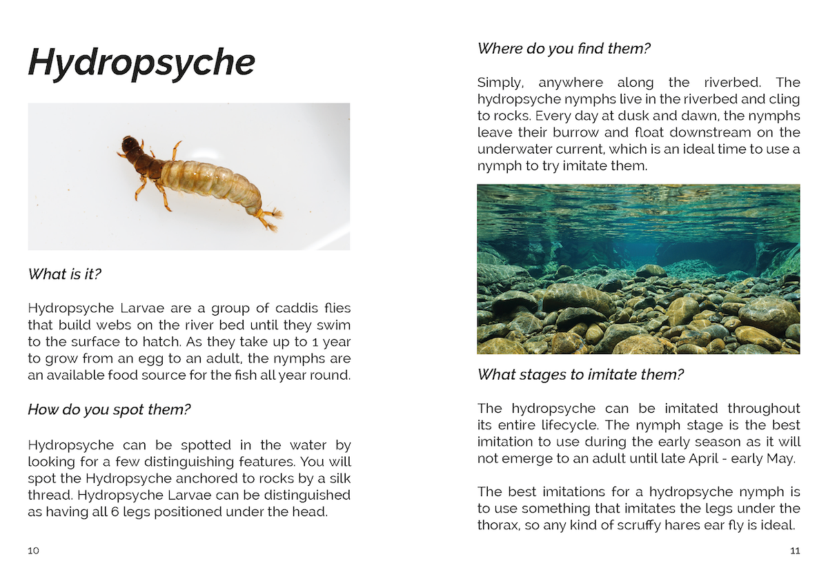 FLY Series: Early Season River Fishing