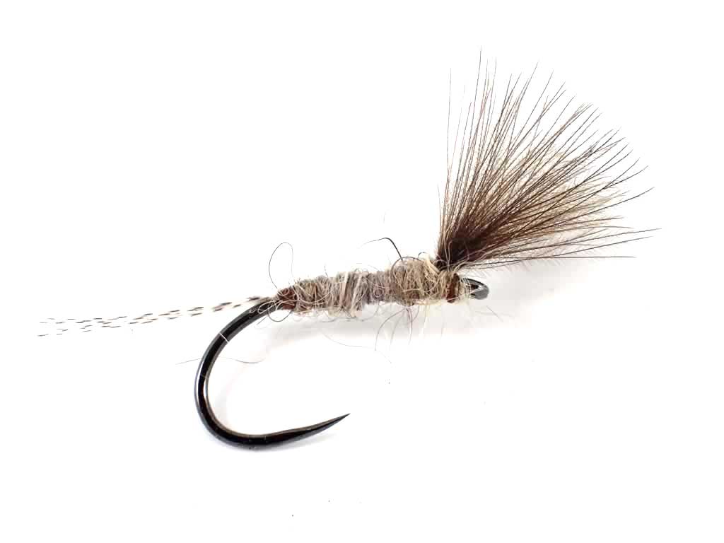 Upwing CdC
