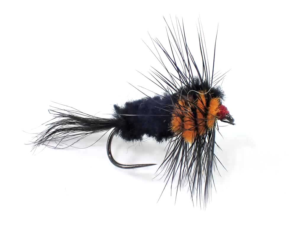 Montana Selection