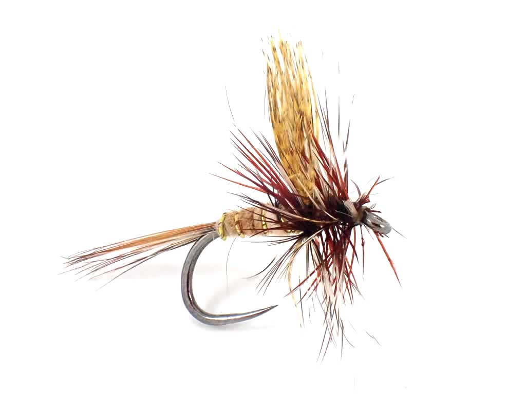 March Brown