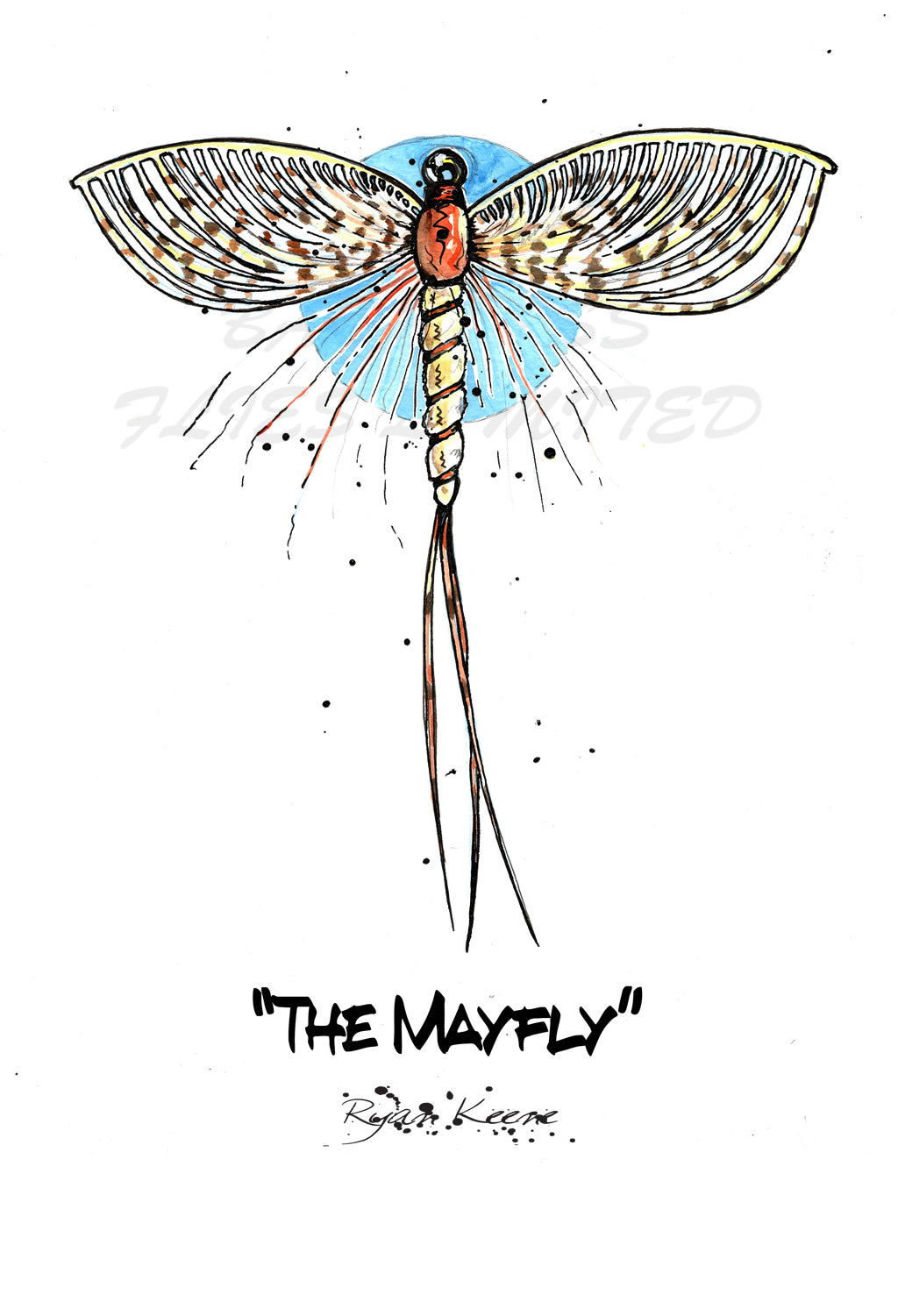 The Mayfly - By Ryan Keene