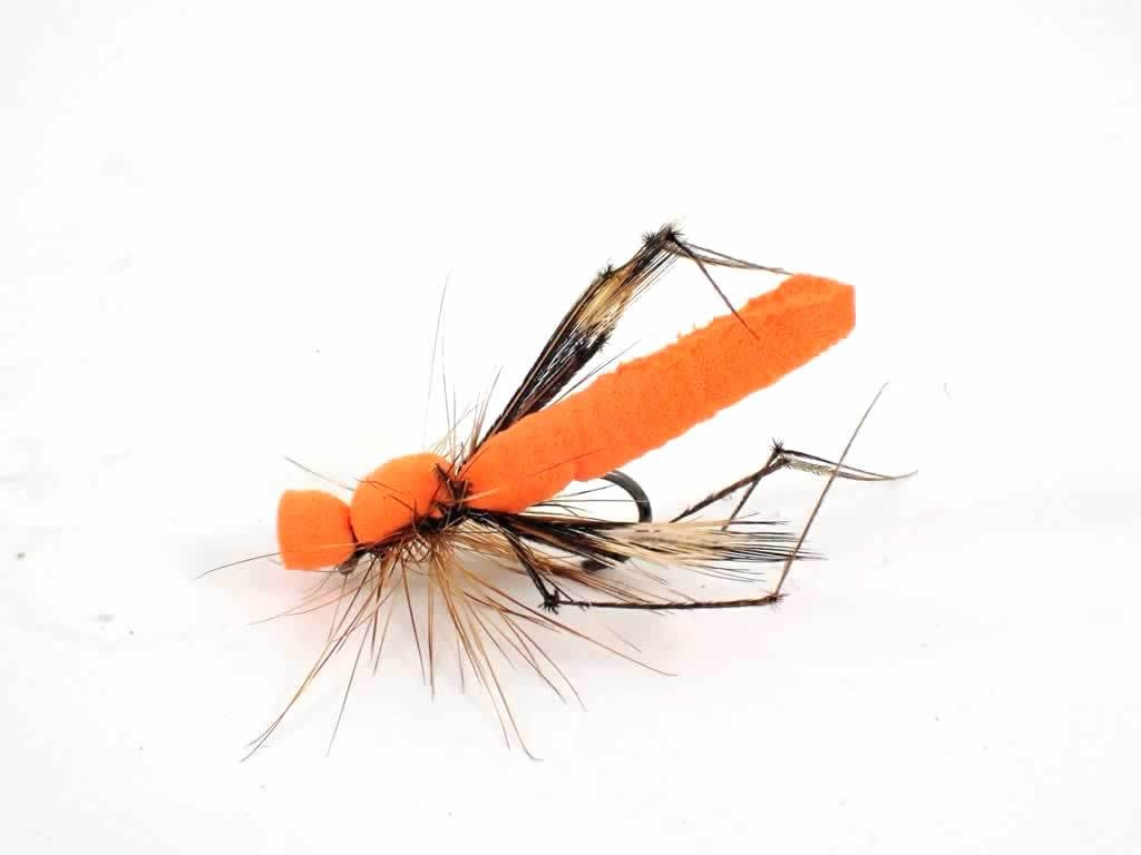 Orange Daddy