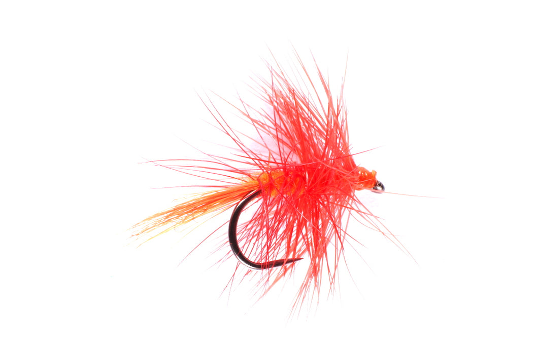 Orange Otter