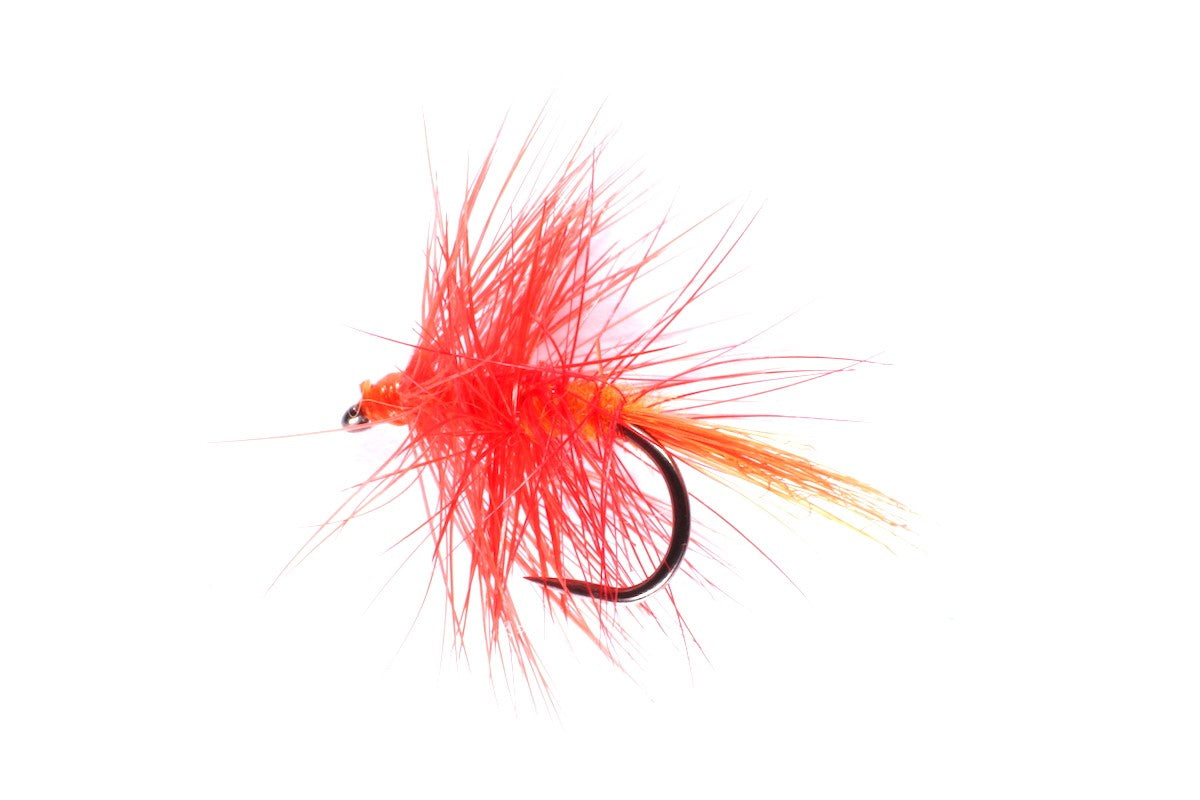 Orange Otter