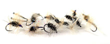 Load image into Gallery viewer, &quot;Don&#39;t Get Skunked&quot; Selection
