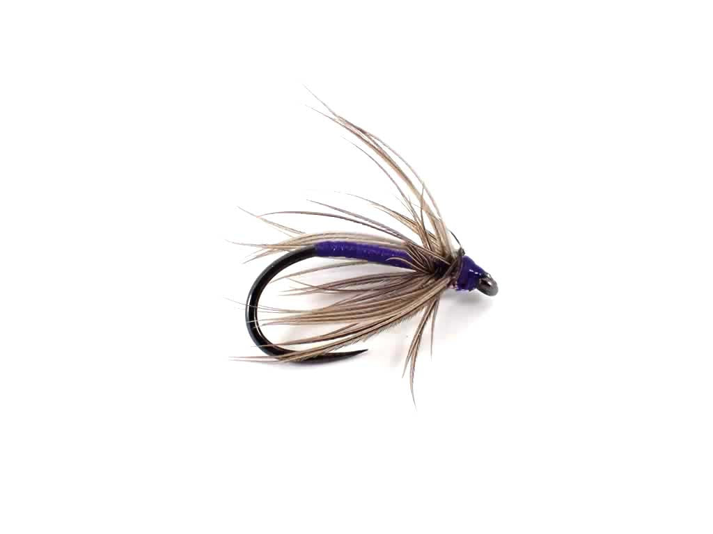 Snipe & Purple