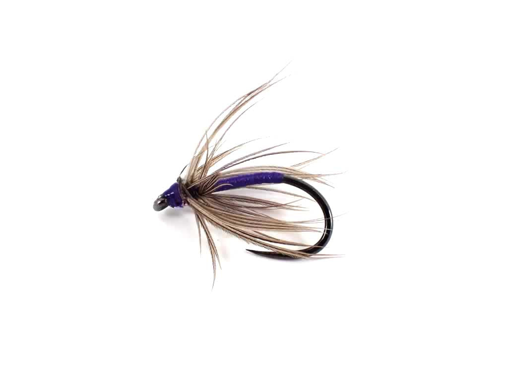 Snipe & Purple