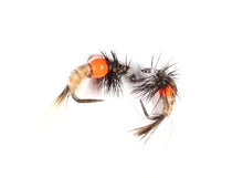 Load image into Gallery viewer, Gammarus Selection
