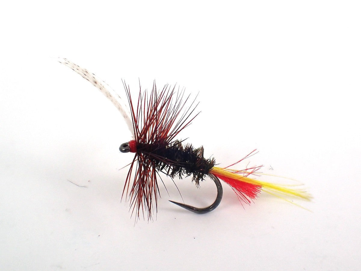 Sweet William - Yorkshire Dry
