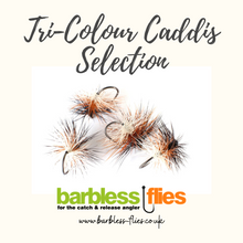 Load image into Gallery viewer, Tri-Colour Caddis (Tricolore) Selection
