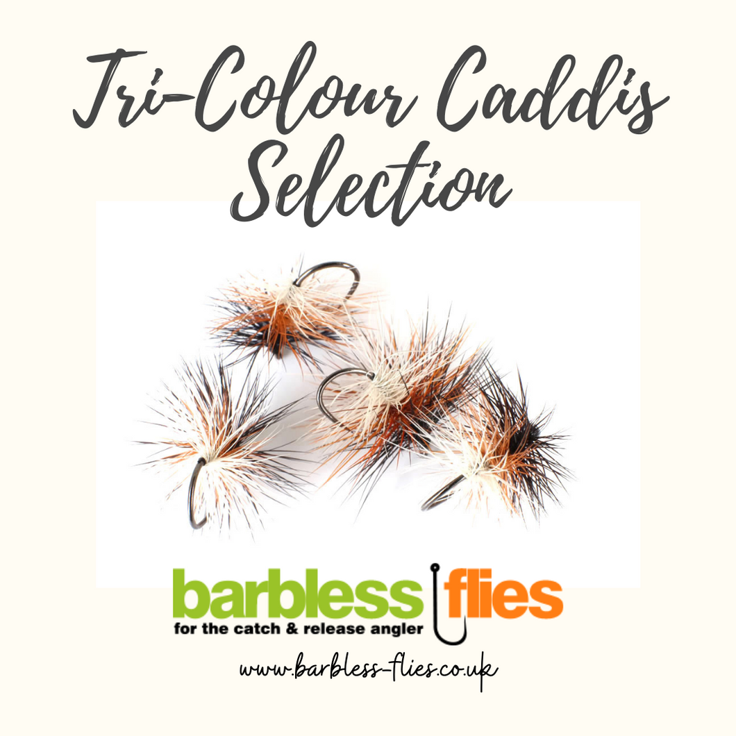 Tri-Colour Caddis (Tricolore) Selection – Barbless Flies
