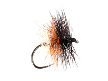 Load image into Gallery viewer, Tri-Colour Caddis (Tricolore) Selection
